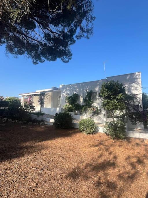 Villa Bouganville 2 Ostuni Exteriér fotografie