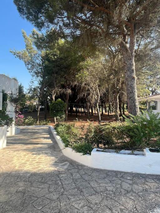 Villa Bouganville 2 Ostuni Exteriér fotografie